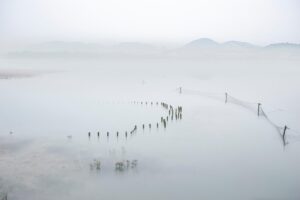 テレワークに最適なネット速度の目安とは？