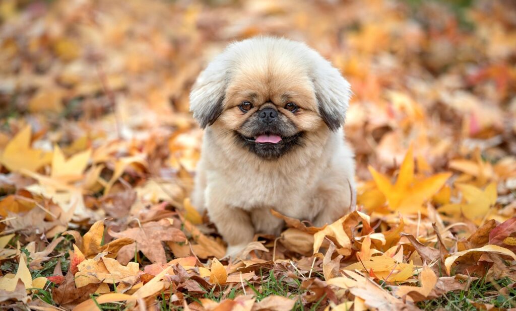 テレワークの登録方法について知りたいことは？