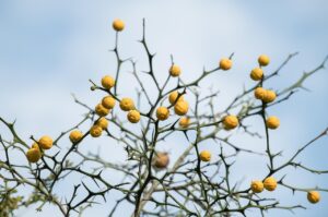 テレワークでよくあるトラブルとその解決法は？