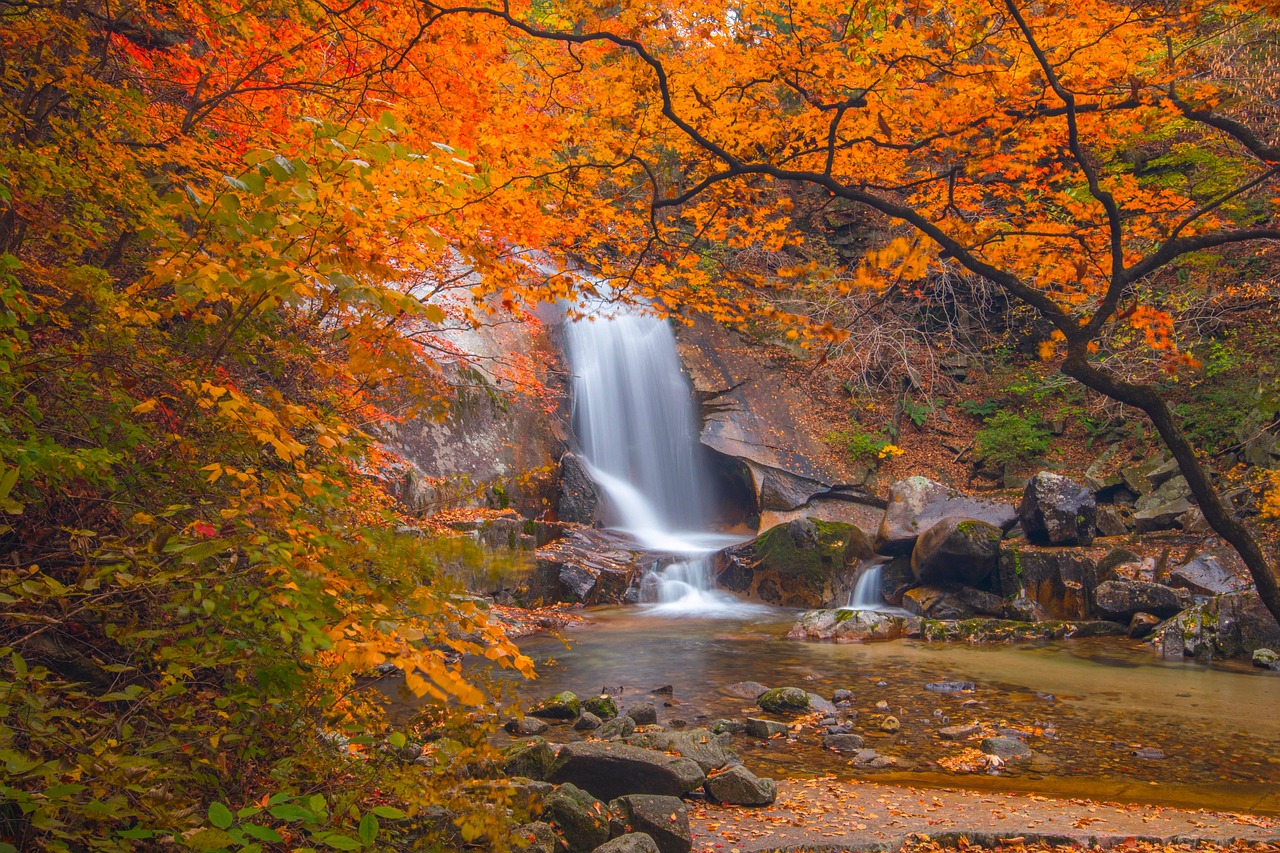 ハイブリッド勤務の転職面接で落ちる理由とその対策は？