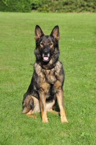 フルリモートの募集情報はどこで探せる？