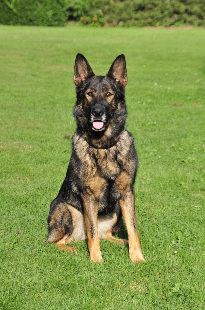 フルリモートの募集情報はどこで探せる？